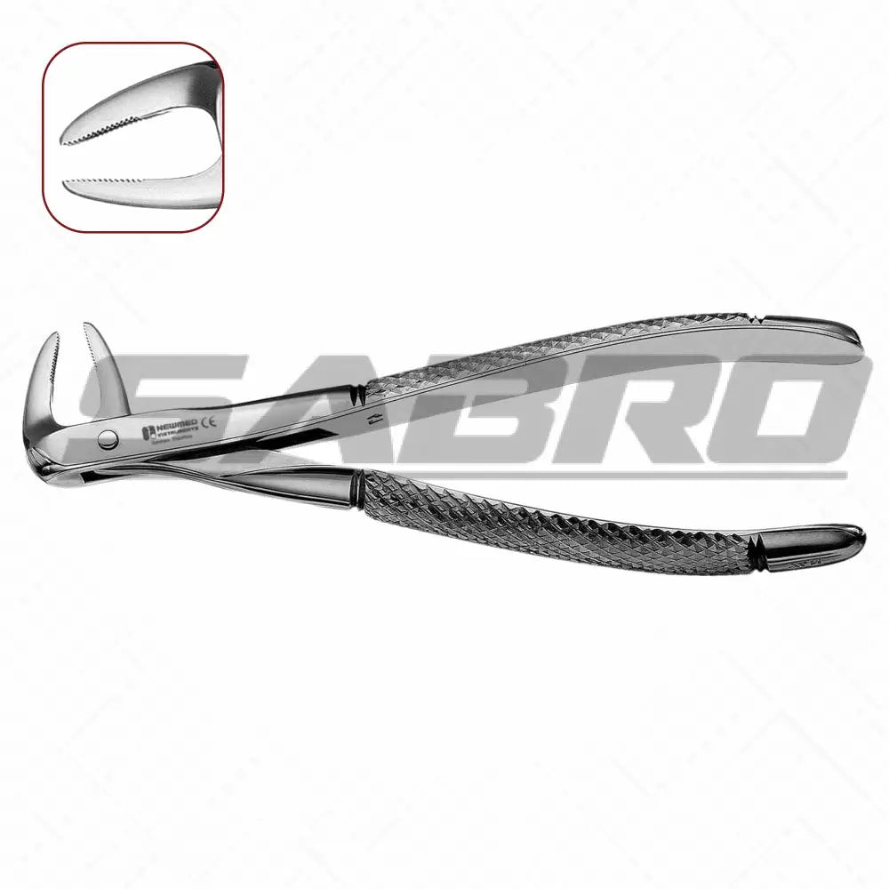 74N Extraction Dental Forceps